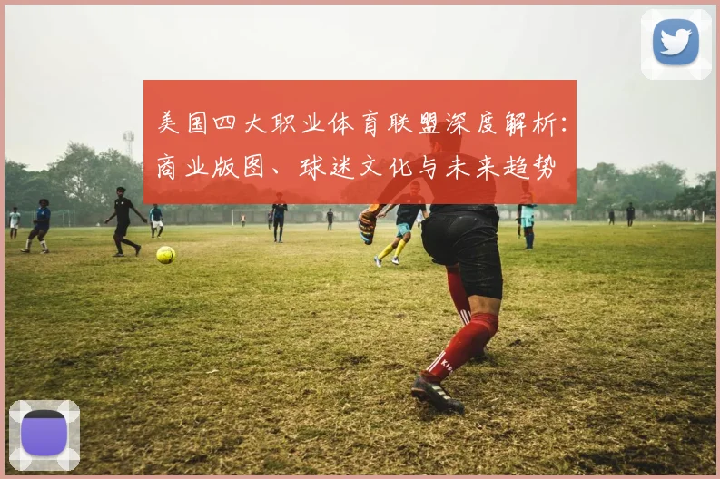 美国四大职业体育联盟深度解析:商业版图、球迷文化与未来趋势
