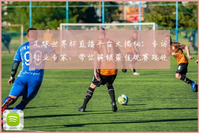 足球世界杯直播平台大揭秘:专访行业专家,带你解锁最佳观赛路径