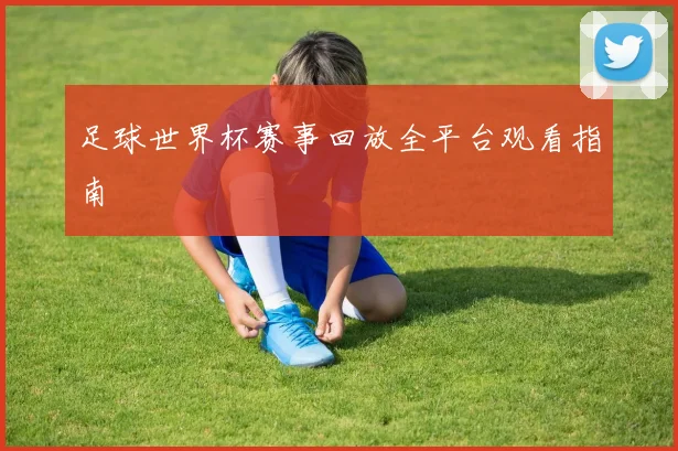 足球世界杯赛事回放全平台观看指南